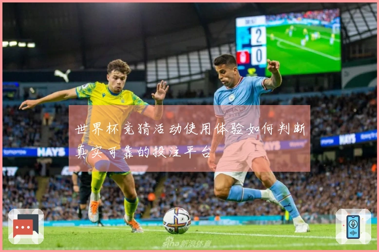 世界杯竞猜活动使用体验如何判断真实可靠的投注平台