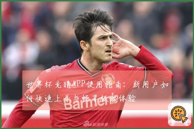 世界杯竞猜APP使用指南：新用户如何快速上手与畅享极致体验