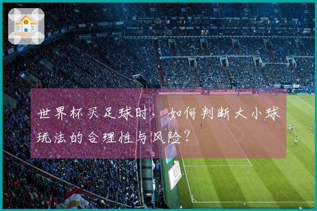 世界杯买足球时，如何判断大小球玩法的合理性与风险？