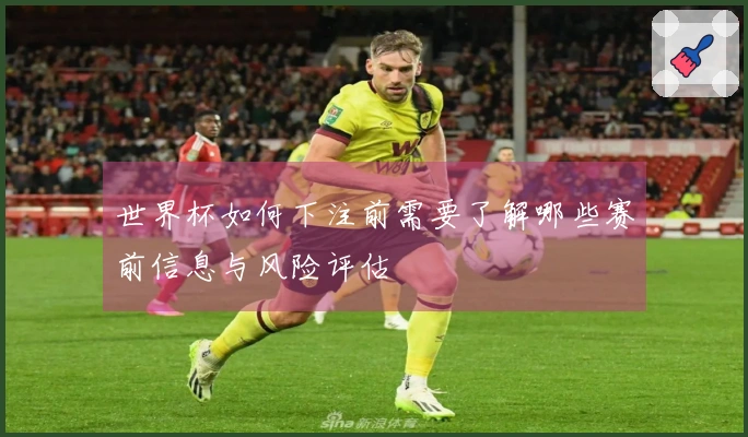 世界杯如何下注前需要了解哪些赛前信息与风险评估