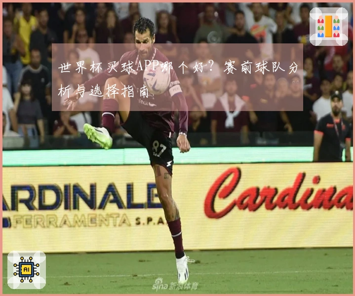 世界杯买球APP哪个好？赛前球队分析与选择指南