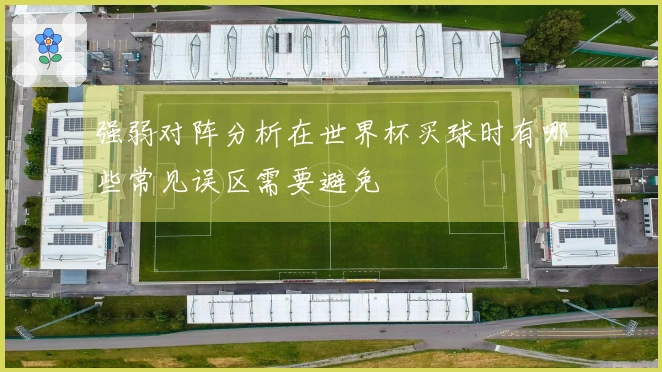 强弱对阵分析在世界杯买球时有哪些常见误区需要避免