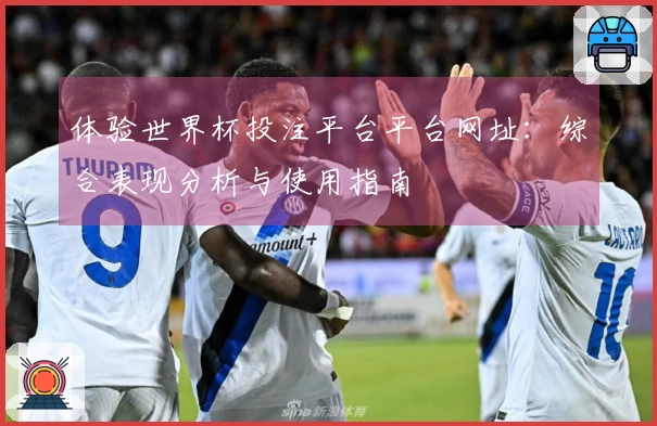 体验世界杯投注平台平台网址：综合表现分析与使用指南