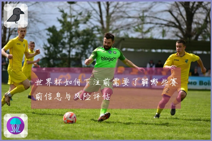 世界杯如何下注前需要了解哪些赛前信息与风险评估