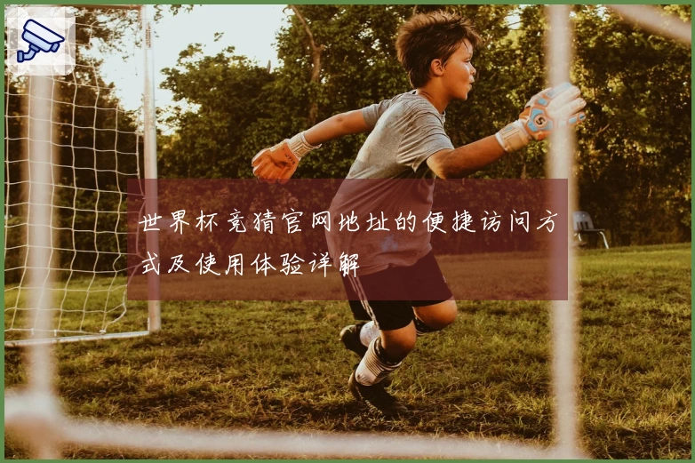 世界杯竞猜官网地址的便捷访问方式及使用体验详解