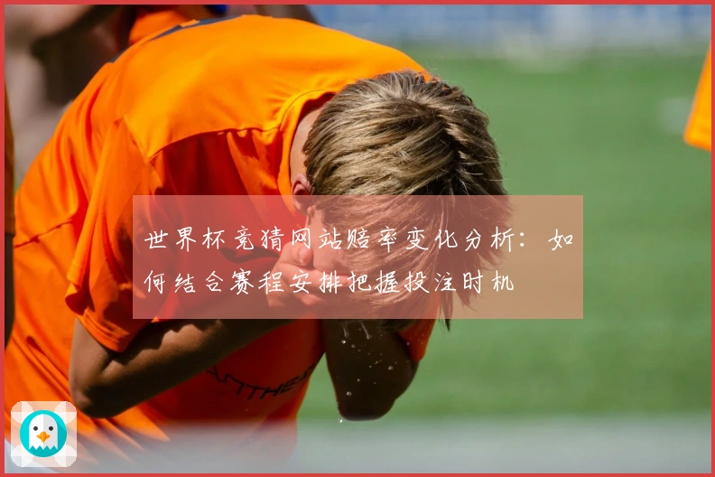 世界杯竞猜网站赔率变化分析：如何结合赛程安排把握投注时机