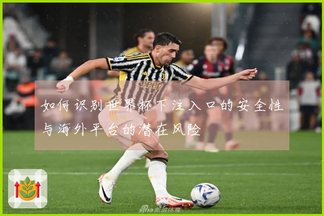 如何识别世界杯下注入口的安全性与海外平台的潜在风险