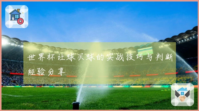 世界杯让球买球的实战技巧与判断经验分享