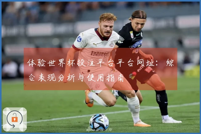 体验世界杯投注平台平台网址：综合表现分析与使用指南