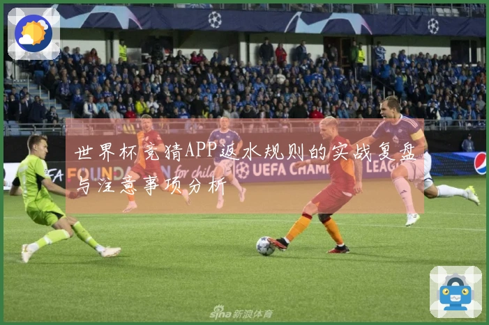 世界杯竞猜APP返水规则的实战复盘与注意事项分析