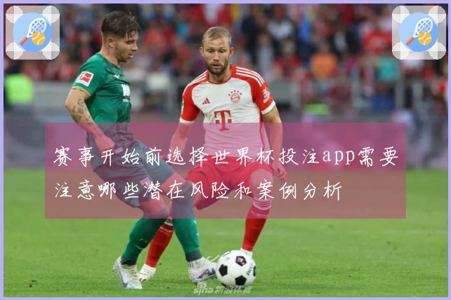 赛事开始前选择世界杯投注app需要注意哪些潜在风险和案例分析