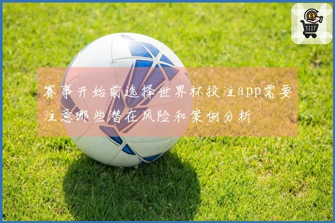 赛事开始前选择世界杯投注app需要注意哪些潜在风险和案例分析