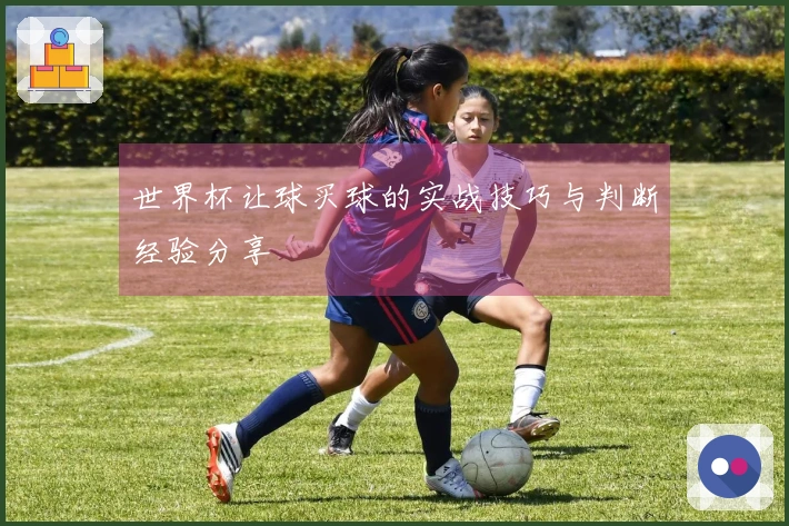 世界杯让球买球的实战技巧与判断经验分享