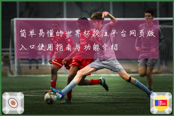 简单易懂的世界杯投注平台网页版入口使用指南与功能介绍