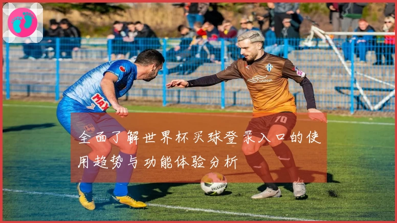 全面了解世界杯买球登录入口的使用趋势与功能体验分析