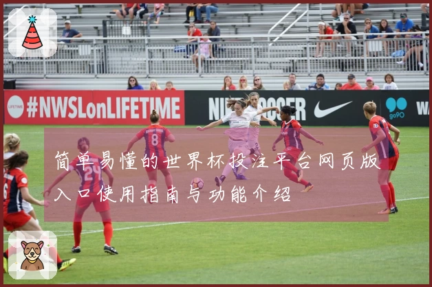 简单易懂的世界杯投注平台网页版入口使用指南与功能介绍