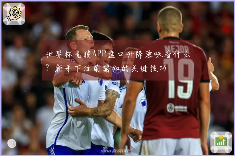 世界杯竞猜APP盘口升降意味着什么？新手下注前需知的关键技巧